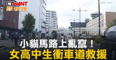 圖說-小貓馬路上亂竄！　女高中生衝車道救援
