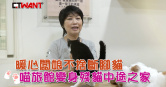 圖說-暖心闆娘不捨斷腳貓　喵旅館變身殘貓中途之家