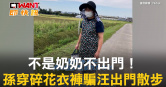 圖說-不是奶奶不出門！　孫穿碎花衣褲騙汪出門散步