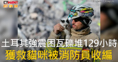 圖說-土耳其強震困瓦礫堆129小時　獲救貓咪被消防員收編