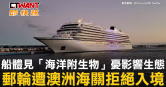 圖說-船體見「海洋附生物」憂影響生態　郵輪遭澳洲海關拒絕入境