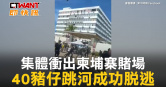 圖說-集體衝出柬埔寨賭場　40豬仔跳河成功脫逃