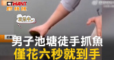 圖說-男子池塘徒手抓魚　僅花六秒就到手