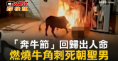 圖說-「奔牛節」回歸出人命　燃燒牛角刺死朝聖男