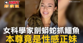 圖說-女科學家剖蟒蛇抓鱷魚 本尊竟是性感正妹