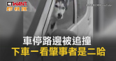 圖說-車停路邊被追撞　下車一看肇事者是二哈
