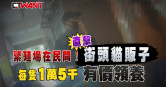 圖說-繁殖場在民間！街頭「貓販子」直擊　每隻1萬5有價領養