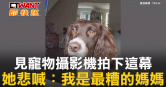 圖說-見寵物攝影機拍下這幕　她悲喊：我是最糟的媽媽