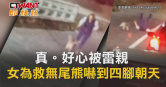 圖說-真。好心被雷親 女為救無尾熊嚇到四腳朝天