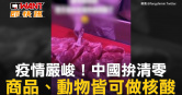 圖說-疫情嚴峻！中國拚清零　商品、動物皆可做核酸