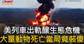 圖說-美列車出軌釀生態危機　大量動物死亡當局竟裝傻