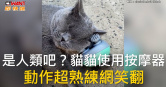 圖說-是人類吧？貓貓使用按摩器　動作超熟練網笑翻