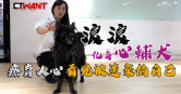 圖說-浪浪大變身　化身心輔犬療育人心：看見被遺棄的自己