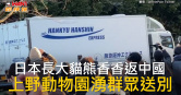 圖說-日本長大貓熊香香返中國　上野動物園湧群眾送別