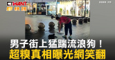 圖說-男子街上猛踹流浪狗！　超糗真相曝光網笑翻